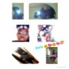 zaria123103